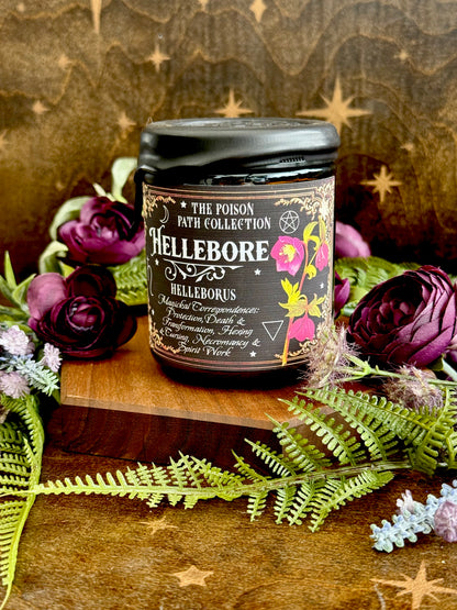 Hellebore Poison Path Witches Candle
