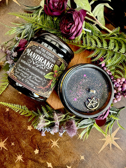 Mandrake Poison Path Witches Candle