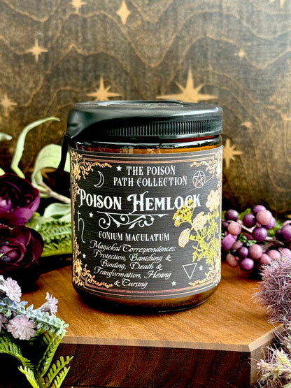 Poison Hemlock Witches Candle