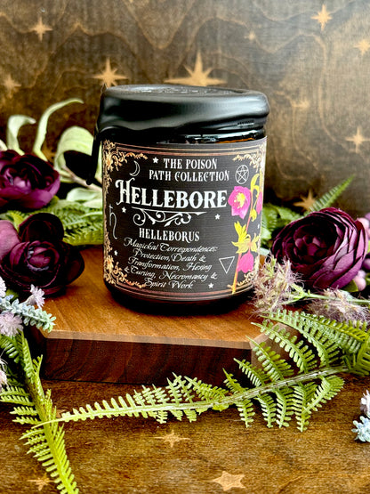 Hellebore Poison Path Witches Candle