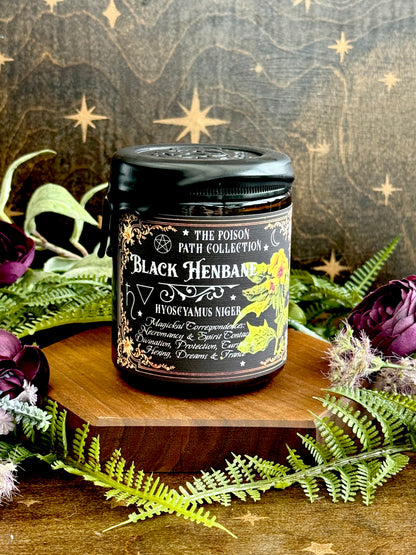 Black Henbane Poison Path Witches Candle
