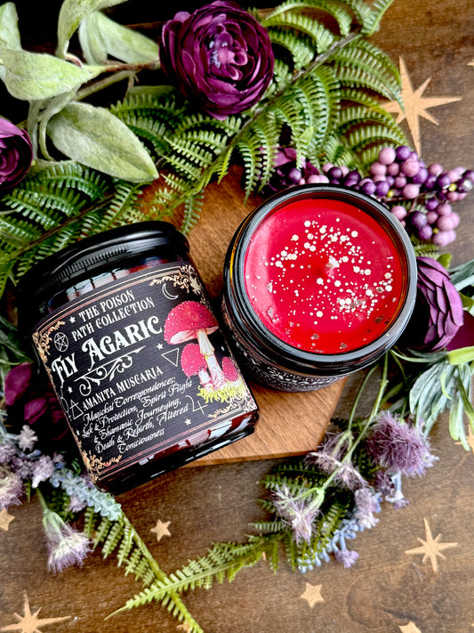 Fly Agaric Amanita Poison Path Witches Candle