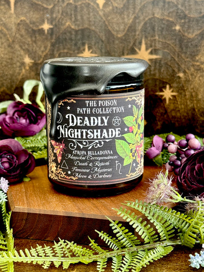 Deadly Nightshade Poison Path Witches Candle