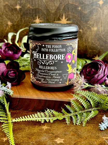 Hellebore Poison Path Witches Candle