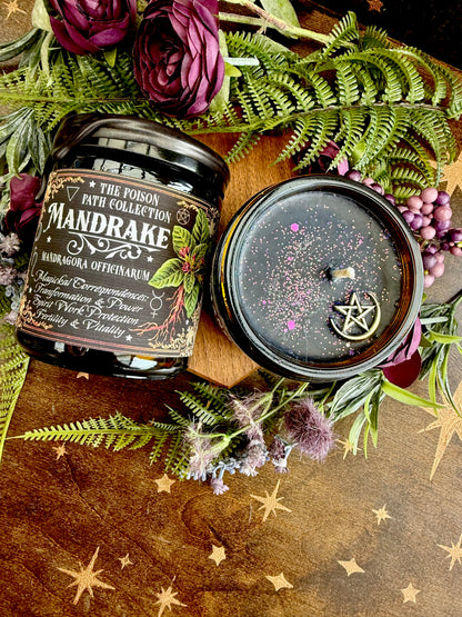 Mandrake Poison Path Witches Candle