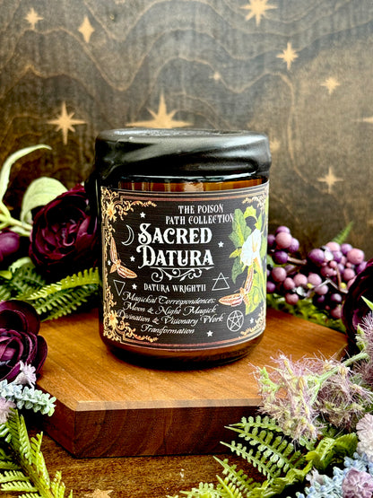 Sacred Datura Moonflower Poison Path Witches Candle