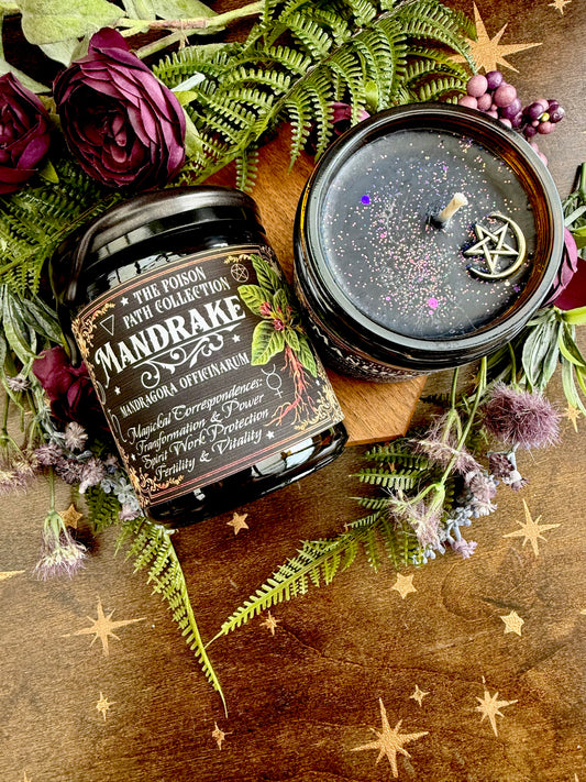 Mandrake Poison Path Witches Candle