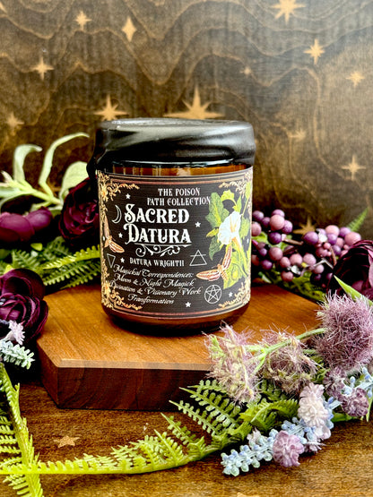 Sacred Datura Moonflower Poison Path Witches Candle