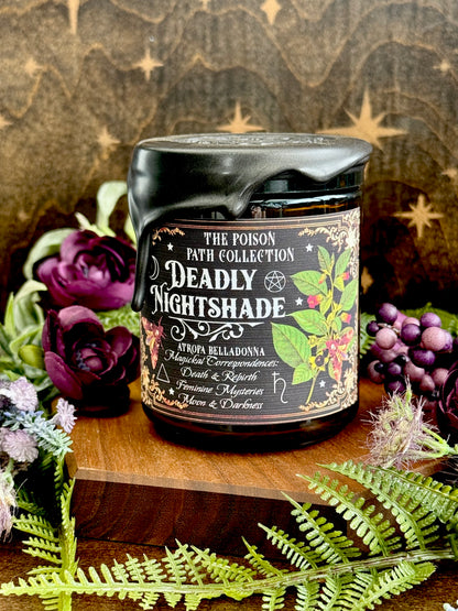 Deadly Nightshade Poison Path Witches Candle