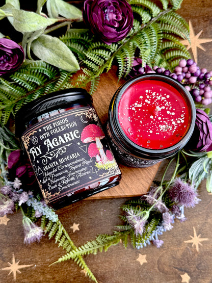 Fly Agaric Amanita Poison Path Witches Candle