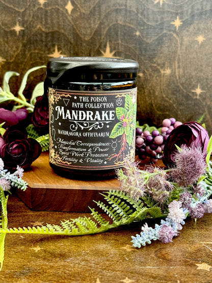 Mandrake Poison Path Witches Candle