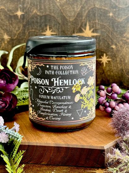 Poison Hemlock Witches Candle